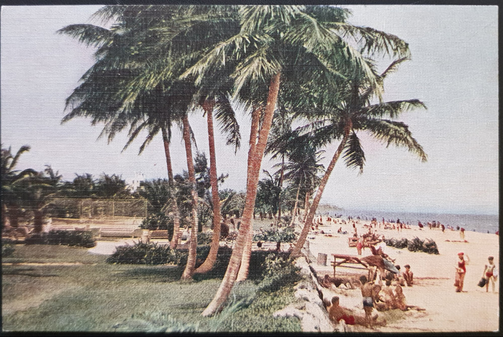 (image for) postcard USA - FL - Florida #0001